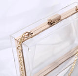Clear Luxe Clutch